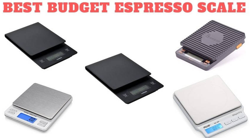 Best Budget Espresso Scale